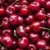 Fresh Cherries