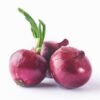 Fresh Onions